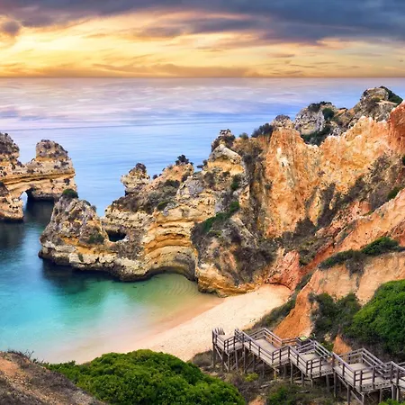 O Golfinho Лагуш